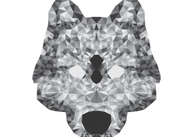 Polygon Wolf